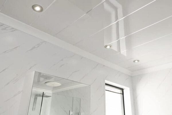 8mm White Gloss Silver 1 Strip Aqua Wall Panel 250MM x 2.7M